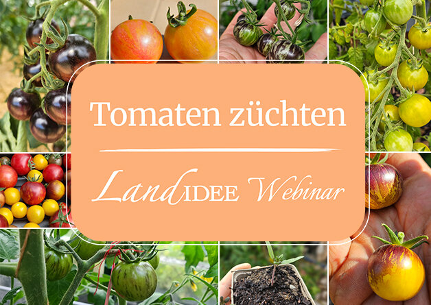 LandIDEE Webinar